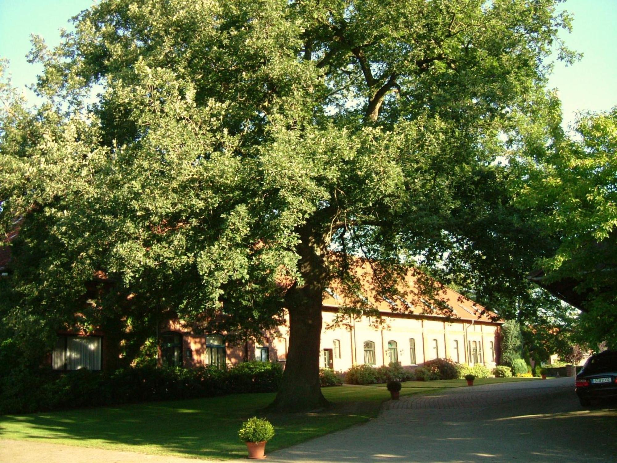 Gaestehaus Schlossgarten 에텔젠 외부 사진